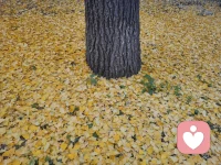 今兒立冬，吃餃子了嗎您嘞！配圖