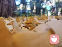 今兒立冬，吃餃子了嗎您嘞！配圖