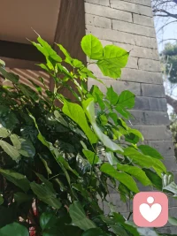 冬天终究过去，春日已不再远！
痛苦定成历史，幸福已在路上！