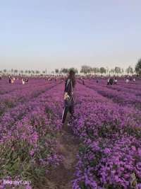 理想的生活是，不被上一秒牵挂，不为下一秒担忧配图