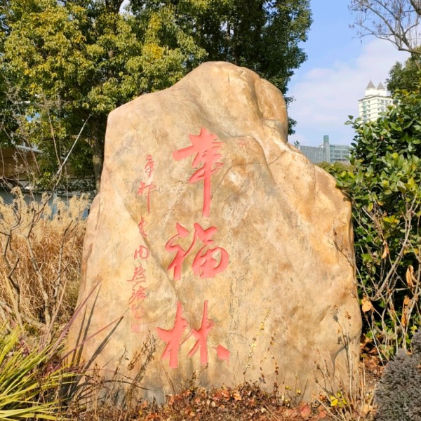 慧听