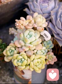 比成績更重要的是孩子的心理健康：

1、有安全感和良好的自我認知。
2、心持善念，相信愛。有愛和分享的能力。

3、對新事物充滿好奇心和探索欲。
4、對自己的情緒負責，懂得恰當的表達方式。

5、謙和友愛，有發展人際關系的能力。
6、一定的挫折承受力。

7、獨立思考的能力。
8、能夠接納環境，同時勇于做自己。配圖