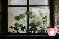 艱難的生活并不浪漫，踏實地活著才是最高明的藝術。配圖