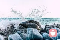 人生天地之間，若白駒之過隙，忽然而已。配圖