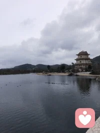 只要你有廣大的心量，就不會有那么多的煩惱。有問題的歡迎各位朋友咨詢我，在這里一切煩惱化為塵。配圖