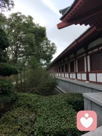 上古之人，其知道者，法于阴阳，和于术数，食饮有节，起居有常，不妄作劳，故能形与神俱，而尽终其天年，度百岁乃去。配图