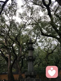 养生之道，常欲小劳，但莫大疲，及强所不能耳。