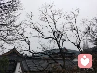 俗话说：心宽一寸，路宽一丈。人生必须拿得起，放得下，想得开，忘得了。不必计较曾经的恩怨得失，也不必在意曾经的沧海遗珠。放下过去的怨恨，不断减去曾有的伤痛，付出应有的关爱，不停地添加人间的温暖；所有一切不好的，统统删除，不再留念，所有一切美好的，一概留下，永存记忆。人生就是一删一留，生活就是一加一减，唯有学会删留加减，才能最终享受人生的快乐!