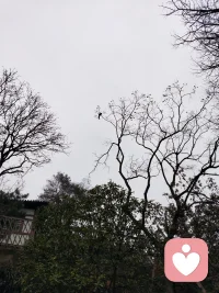 水是最好的“药”
一个震惊世界的医学发现！
色斑：清晨一杯凉白开
感冒：要喝比平时更多的水
便秘：大口大口喝水
恶心：用盐水催吐
发热：间断性、小口补水为宜
肥胖：餐后半小时多喝水
咳嗽：多喝热水
失眠：洗澡泡脚