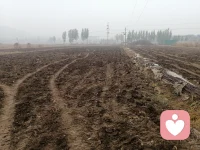 秋天是收獲的季節，姜農們卻在收姜之后，施下了肥，為明年的播種打下基礎。臨近冬季，我們不會冬眠，但您想為自我心靈的土地增加些養料嗎？配圖