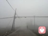 今天的霧好大，天空的霧再大也不怕，就怕心里起的霧久久不肯散去，困擾我們的心靈，甚至要窒息我們的呼吸。我們愿做你真實的聽眾，愿做一道道陽光驅(qū)散你心中的迷霧，讓你的心靈重新綻放，如美麗的花朵，如輕盈的蝴蝶，一切將重歸美好，一切將如你所愿！配圖