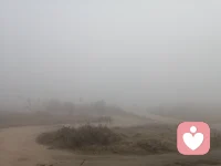 今天的霧好大，天空的霧再大也不怕，就怕心里起的霧久久不肯散去，困擾我們的心靈，甚至要窒息我們的呼吸。我們愿做你真實的聽眾，愿做一道道陽光驅(qū)散你心中的迷霧，讓你的心靈重新綻放，如美麗的花朵，如輕盈的蝴蝶，一切將重歸美好，一切將如你所愿！配圖