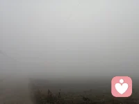 今天的霧好大，天空的霧再大也不怕，就怕心里起的霧久久不肯散去，困擾我們的心靈，甚至要窒息我們的呼吸。我們愿做你真實的聽眾，愿做一道道陽光驅(qū)散你心中的迷霧，讓你的心靈重新綻放，如美麗的花朵，如輕盈的蝴蝶，一切將重歸美好，一切將如你所愿！配圖