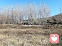 看隨處可見的自然風景，讓涓涓流水滌蕩一下我們的心靈，我們會變得更加輕松！配圖