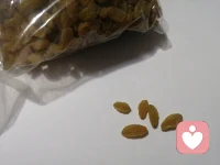 新的一天又開始了，朋友你有沒有認真品嘗過一顆葡萄干的味道，從觀察形狀和顏色，到用嘴品嘗，最后咽要肚子里配圖