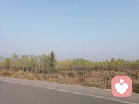 大自然是我們心靈的最好的療養師，因為我們人也是自然的一部分，讓我們的心回歸自然，抵達本真，找回自我，一切釋然，回來之后再面對生活工作中的瑣碎，心寬之后一切煩惱都忽然覺得不值一提了。配圖