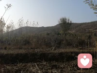 大自然是我們心靈的最好的療養師，因為我們人也是自然的一部分，讓我們的心回歸自然，抵達本真，找回自我，一切釋然，回來之后再面對生活工作中的瑣碎，心寬之后一切煩惱都忽然覺得不值一提了。配圖