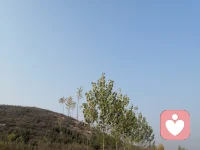 大自然是我們心靈的最好的療養師，因為我們人也是自然的一部分，讓我們的心回歸自然，抵達本真，找回自我，一切釋然，回來之后再面對生活工作中的瑣碎，心寬之后一切煩惱都忽然覺得不值一提了。配圖