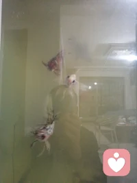 早安，致敬早起的人配圖