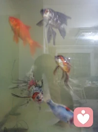 早安，致敬早起的人配圖