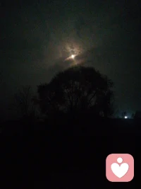 月掛樹稍，喚起了多少兒時的記憶配圖