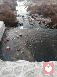 早上好，其實自己才是療愈你心靈的世界頂級專家配圖