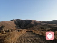 封村了，出來爬爬山，透透氣配圖