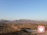 封村了，出來爬爬山，透透氣配圖