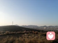 封村了，出來爬爬山，透透氣配圖