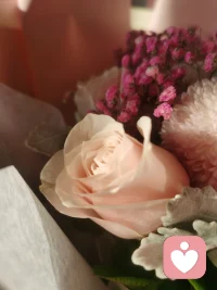 30歲以后真的遇不到愛情了嗎？是太多的生活壓力磨礪了我們嗎？是所謂的條件阻礙了我們嗎？還是我們看待原本的愛情想像消失了呢？我說愛情無處不在，你是不是覺得太夸張了呢？配圖