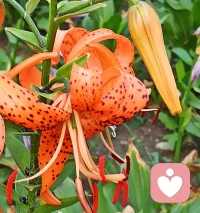 落叶凌乱飞，思绪暗自涌，这是活着的感觉，无论痛苦，焦虑，烦恼还是快乐，都因为我们活着！