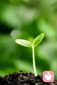 做自己喜歡的事情，生活在自己喜愛的環境里，取悅自己，生活才能美起來。
只要自己今天比昨天有所進步，就是很大的改變！配圖