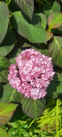 有時我們談?wù)撟约旱母惺芤约皩Π閭H的感受時，也許會發(fā)現(xiàn)我們有些不善于把它們化為言辭傳遞給對方。我們在發(fā)生沖突那一刻下意識的保護(hù)自己，指責(zé)對方的缺點，卻很難想到并說出：“我喜歡你這一點”!
      親密關(guān)系的深入，正向與負(fù)向的感受都需說出。配圖