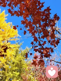 閱己，越己，悅己配圖