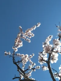 人生在世幾十年總要經(jīng)歷很多坎坷，當(dāng)時(shí)所有的不美好在未來(lái)都會(huì)成為正能量守護(hù)在你的身旁助力你成長(zhǎng)配圖