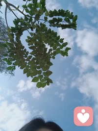 祝我們自由，享樂，永不孤單配圖