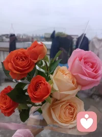 歡迎各位找我傾訴哦！！！配圖