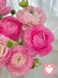 没有阳光，就听风吹看雨落
没有鲜花，就轻嗅泥土的芬芳配图