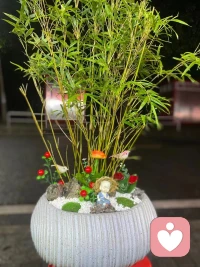 每天都是工作日，早上好！
努力不是為了得到認可，而是自我感受更充實，忙碌到大腦沒過多的時間制造煩惱。配圖