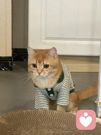 叔本华说：“生命是一团欲望，欲望不能满足便痛苦，满足便无聊，人生就在痛苦和无聊之间摇摆。”配图