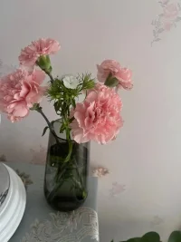 夢(mèng)想不一定能成就你的人生，但一定能豐富你的人生。配圖