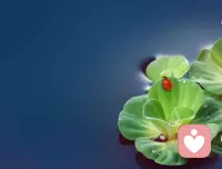 欲望是人類社會進步最重要的動力之一，但是，如果我們完全被欲望所吞噬，會造成許多負面后果。配圖