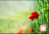 焦慮是擔心消極結果，
而抑郁則是預期消極結果。配圖