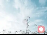 對一個人來講，他人的認可、需要和愛，是最能調整生活狀態的東西，作用往往比藥物好得多。配圖