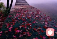 焦慮感不是今天的人才有，在遠(yuǎn)古狩獵時代，人就會為食物和安全問題而焦慮。正因?yàn)橛薪箲]感，人才會未雨綢繆地儲存糧食、躲避叢林里的猛獸。配圖