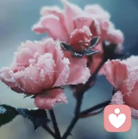 焦慮的產生不是因為外界具體的事物或情境，而是源自想象中的危險，這個危險并不在眼前，而且，它發生的可能性微乎其微。配圖