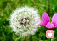 沒有最糟糕，只有更糟糕；和更糟糕相比，你還不太糟糕。配圖