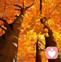 人們的行為往往會受當下結果的影響，而不太受未來結果的影響。配圖