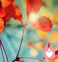 很多人想成功卻不愿意面對當(dāng)下的艱辛，成功的美好夢想并沒有影響到他的行為。配圖