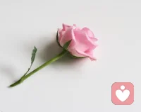 生活中有些夫妻可能是這樣的，因為相互吸引走到了一起，可是在長期的婚姻中，因為個性差異，或者因為壓力，他們變得經常爭吵、相互指責猜忌，甚至是鄙視傷害，感覺日子沒法兒過下去了。配圖